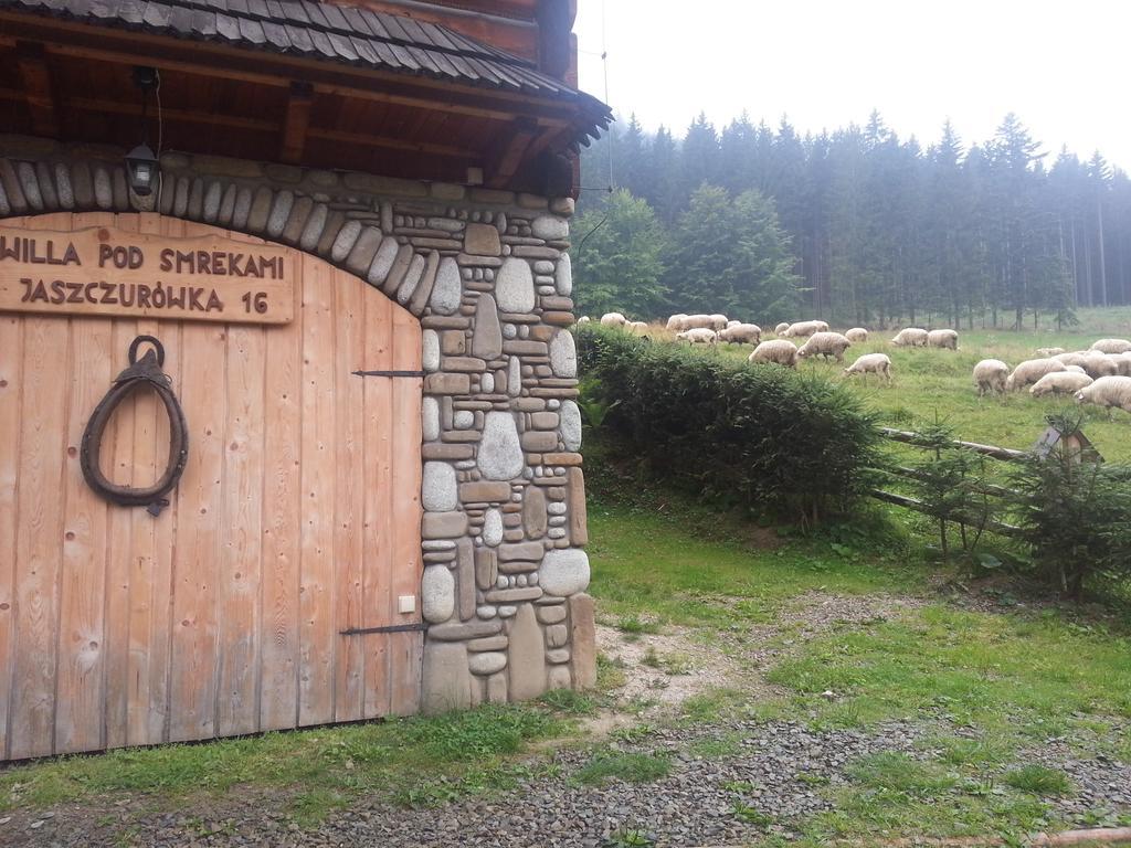 Wynajem Pokoi-Willa Pod Smrekami Zakopane Buitenkant foto